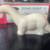 White Sinclair Brontosaurus Dino Soap 3 thumbnail