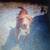 Available for Adoption - 2 1 thumbnail