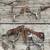 1995 Chaperel 3 Horse Slant Trailer with Saddle & a lot of Tack 3 thumbnail