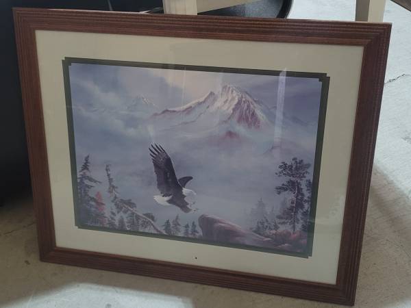 Framed eagle art 1