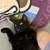 Looking to rehome my cat ~ cosmo 9 thumbnail