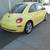 2006 Volkswagen New Beetle 2.5 PZEV 2dr Coupe (2.5L I5 6A) 6 thumbnail