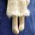 Antique Old Native American Indian Leather Doll Beads Inuit or Tlingit 4 thumbnail