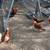 Chickens / Gallinas 10 thumbnail
