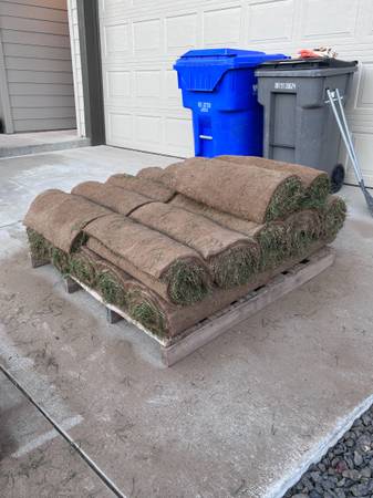 FREE SOD 1
