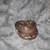 Chocolate GHI Ball python 11 thumbnail