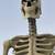 12’ Skeleton NIB obo 2 thumbnail