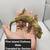 Geckos 1 thumbnail