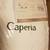 Caperia Multizone Waterproof Heated Mattress Pad, Individual Body & Fe 3 thumbnail