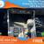 $656/mo - 2023 Honda CRV Hybrid CR V Hybrid CR-V Hybrid SportSUV 10 thumbnail
