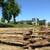 OAK & RED CEDAR SPLIT RAILS & FENCE POSTS 17 thumbnail