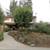 🌿🍁TREE SERVICE, PRUNING, THINNING, REMOVAL, YARD CLEANUP🌲🌲 6 thumbnail