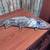 Vintage Aluminum Fish Serving Dish 1970's 5 thumbnail