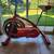 Schwinn classic cruiser exercise bike 3 thumbnail