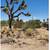 17000 sq" RES  lot in Yucca Valley 2 thumbnail