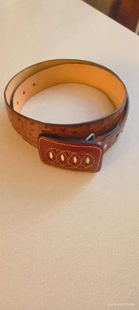Ostrich belt 1