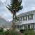 ZENON LANDSCAPING & TREE SERVICE 9 thumbnail