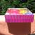 Littlest Pet Shop Hydrant Hangout Princess Stori Jameson Gail TrentNew 6 thumbnail