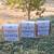 ADGA Nigerian Dwarf Does & Homemade Natural Goats Milk Soap 7 thumbnail