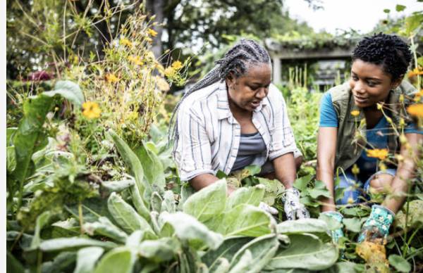 Volunteers Needed – Women’s Wellness & Community Event (Los Angeles) (Crenshaw District)63735867042561121