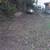 Overgrown yard clean outs,landscaping,mulch,handyman  Hauls443-619-090 16 thumbnail