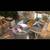5 colony beekeeper equipment 1 thumbnail