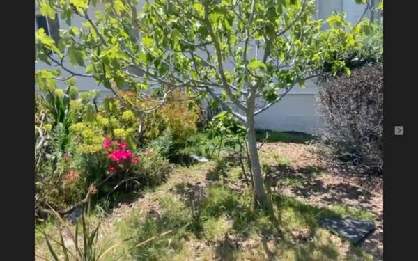 $875 / 1br - Room available in the scenic Hills, Perfect for UC Berkeley students (albany / el cerrito)64017515711491123