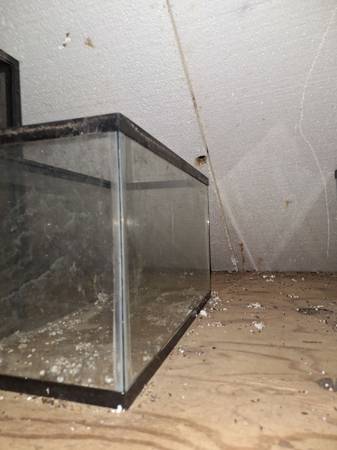 Tanks (Marble Hill)63612039889667124
