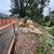 Tree service 5 thumbnail