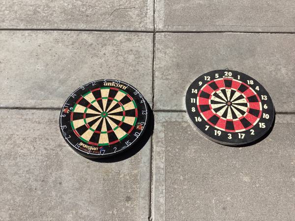 Professional dart board 1