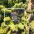 Charming 3/1 Home with an Adorable Fenced Yard with a Gazebo! 21 thumbnail