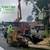 WEST HOLLYWOOD 🌳 Tree & Palm Service 🌴Trimming, Removal, Stump 🪵 7 thumbnail