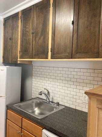 $1,250 / 700ft2 - Edgewater Studio with Heat and Cooking Gas Included (Chicago)63781441861379123