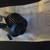 Vintage Fishing Reel Langley Model 990 Spin Casting Reel < 3 thumbnail