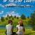 Book Publishing, Cover Design, Editing, Kindle and Print 4 thumbnail