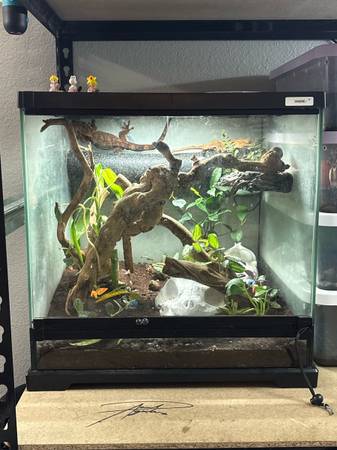 Bioactive Tank 1