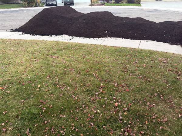 Free compost! 1