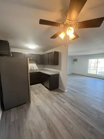 $1,450 / 2br - 825ft2 - Walk to Town. Very spacious with updated colors and lots of light! (Minneapolis)64003958705666123