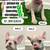 French Bulldogs Rehoming 1 thumbnail