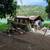 Farmlot in Sampaloc, Tanay 1 thumbnail