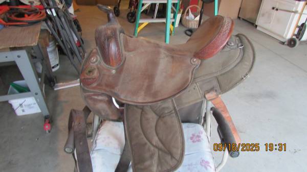 Saddle 1