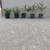 Shade and fruit trees 1 thumbnail