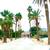 Tree & palm services, yard clean ups, artificial grass & pavers 18 thumbnail