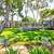 2/bd, Outdoor Fitness Area, Basketball Court 8 thumbnail