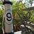 Gitane City Link single speed frameset 2 thumbnail