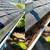 ✨️$100.GUTTER,GUTTERS ✨️CLEANING-GUTTER REPAIR-NEW GUTTERS✨️$150 20 thumbnail
