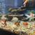 Aquarium and Pond Maintenance and supplies 17 thumbnail