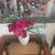 Estate sale - Furniture, Electronics, Clothes, Kitchenware, Books, etc 10 thumbnail