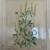 Framed “honey bee & Melilotus officinalis” chromolithographs 2 thumbnail