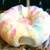 Lg rainbow Cat bed and tunnel 1 thumbnail